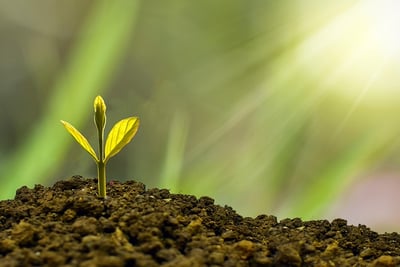 What sustainable investment opportunities offer attractive returns?