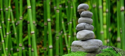What truly constitutes a balanced diet and which myths should be debunked?